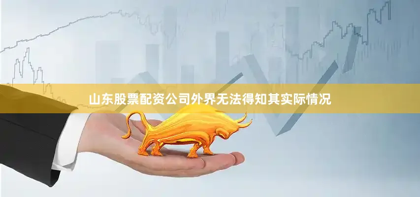 山东股票配资公司外界无法得知其实际情况