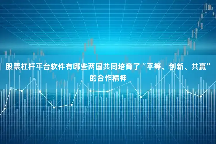 股票杠杆平台软件有哪些两国共同培育了“平等、创新、共赢”的合作精神